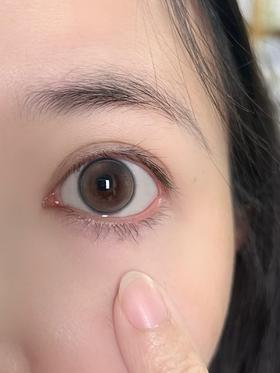 Toastnomi日抛美瞳 纯净水 14.2mm