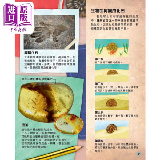 【中商原版】DK揭秘史前世界！探索恐龙与古生物的奥秘 香港原版 儿童知识绘本科普读物 新雅知识馆 童书 新雅文化事业出版 商品图2