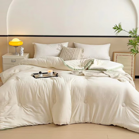 皮尔特保罗  立体边糯糯棉冬被 POLOB-2446