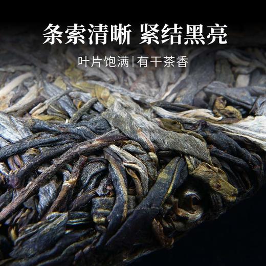 茶鲜森奇花香头春古树普洱生茶九年代表作200g/饼拍5发6【森之味】 商品图3