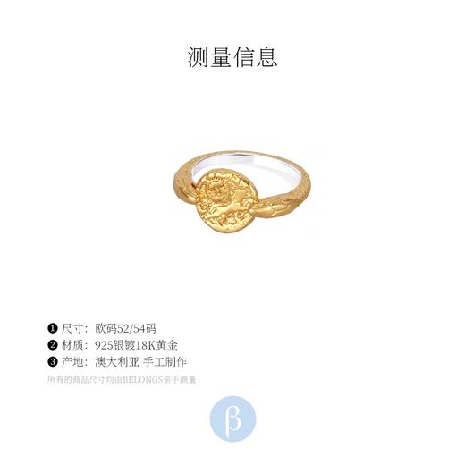 订购8周到｜Temple of the sun-Aria-925银镀18k金 印章戒指［澳大利亚设计师］ 商品图4