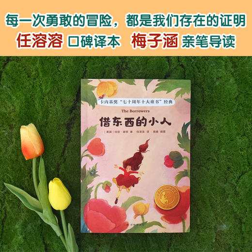 【小译林国际大奖童书】借东西的小人 商品图2