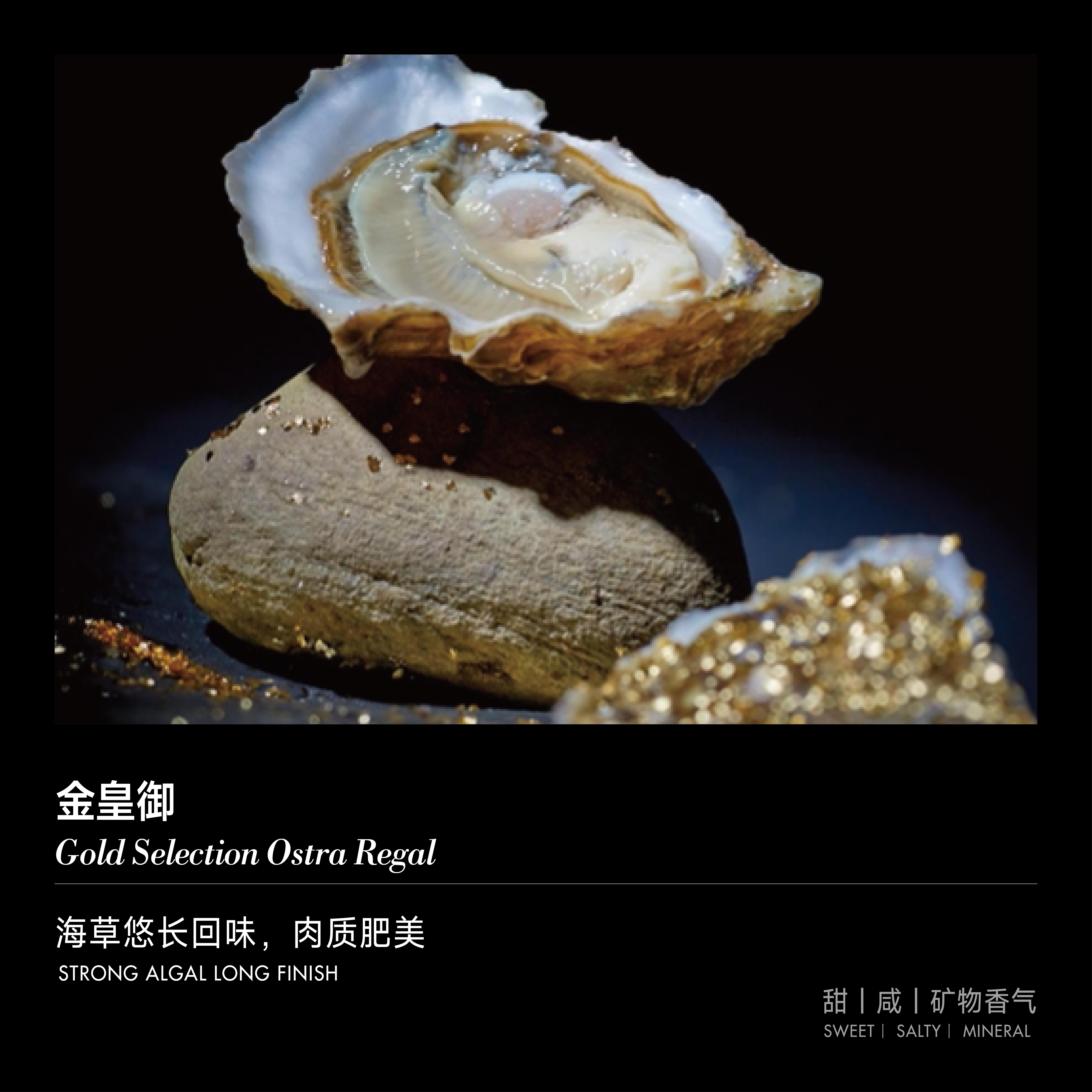 【单只现货】金皇御生蚝 (Selection Ostra Regale)