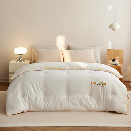 自然醒60支7A全棉抗菌99%大豆纤维被子被芯A类四季通用加厚保暖冬被春秋被LFS 商品图1