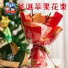 【创意手工，圣诞苹果花束】圣诞节礼物手工diy平安夜礼品(不含苹果）精致造型·立体花束，卡通苹果花束儿童幼儿园半成品制作材料包QQ新年礼盒年货礼盒 商品缩略图2