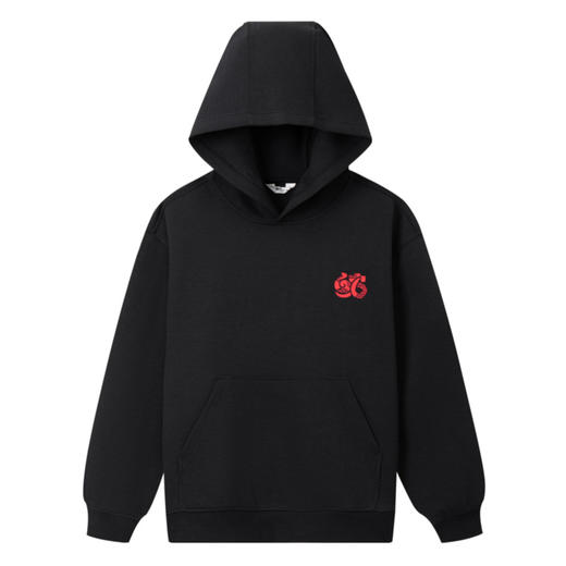 男女童连帽长袖卫衣春季新款安奈儿童装小程序专享EM511003 商品图7