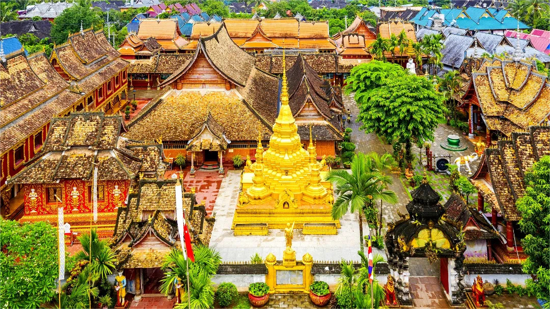 惊喜西双版纳，五钻酒店5晚连住不挪窝，科普老师带玩水果市场/植物园/野象谷/傣寨