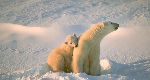 芬兰冰岛「圣光」之旅 商品图1