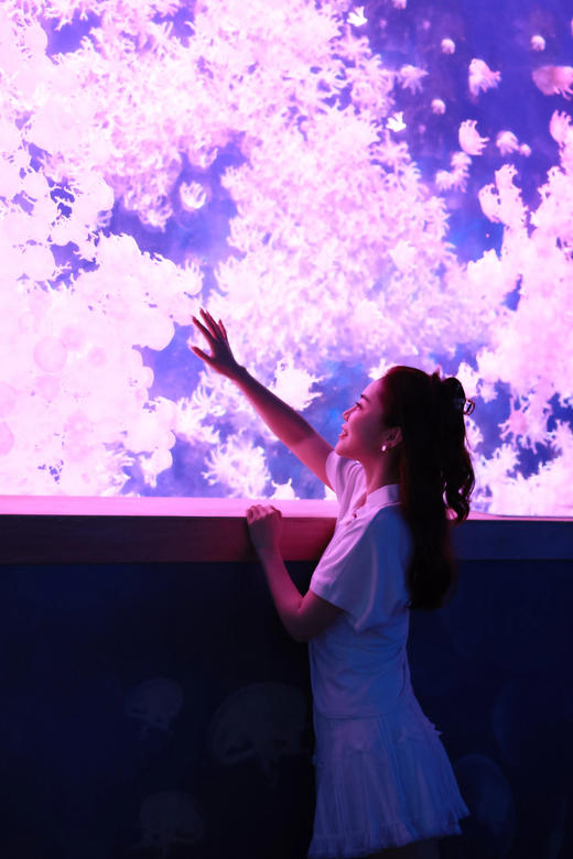 【热销】珠海长隆海洋王国全天向导陪玩不限时，管家式一对一服务 | 可升级接送车/旅拍服务（不含门票） 商品图3