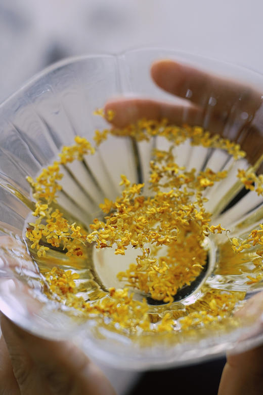 2025【广西金桂】品秋意正浓，赏桂花正香 商品图7