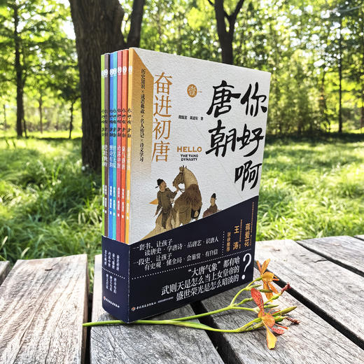 你好啊，唐朝（全7册） 商品图13
