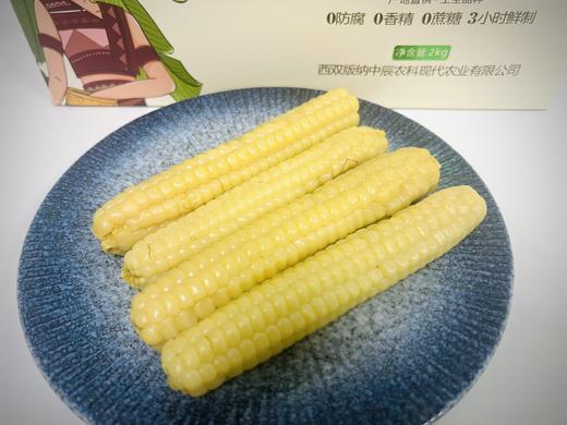 【山姆同厂】云南西双版纳拇指小玉米 4斤装 商品图8