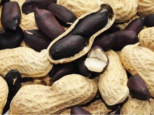 😎【富硒黑皮干花生/富硒黑皮熟花生】🌟散落的“黑珍珠”高花青素➕富硒，🉐一颗顶十颗❗️ 🌸非转基因，11年杂交选育，🤩持证上岗的富硒黑皮花生，🎈名副其实的长寿果～  商品图1