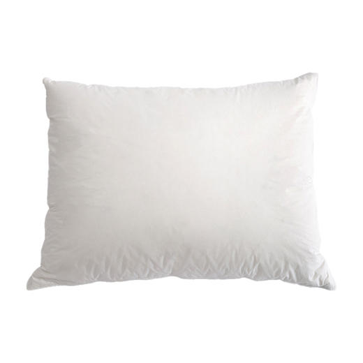 伽罗 JALO 鹅绒靠枕和鸭毛靠垫 商品图4