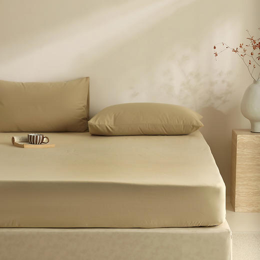 【100支全棉单品磨毛床笠】100支全棉单品磨毛床笠纯色中厚长绒棉床罩秋冬保暖 商品图9