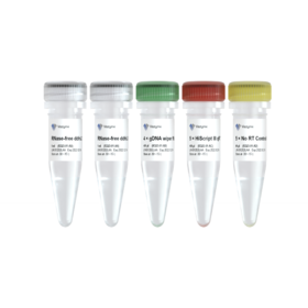 HiScript III RT SuperMix for qPCR (+gDNA wiper)