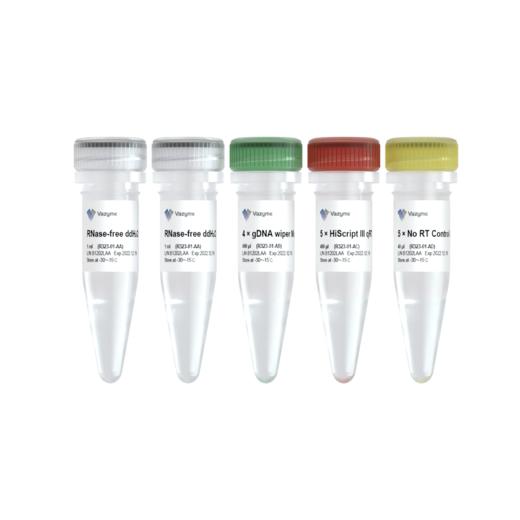 HiScript III RT SuperMix for qPCR (+gDNA wiper) 商品图0