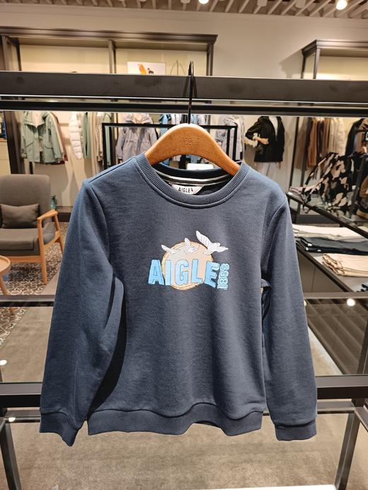 艾高 圆领卫衣童  BE394-F . 商品图0