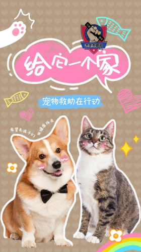 【4H公益时长】公益实践｜给毛孩子一个家 利用废旧物品制作猫窝/狗窝 这个冬天不冷！