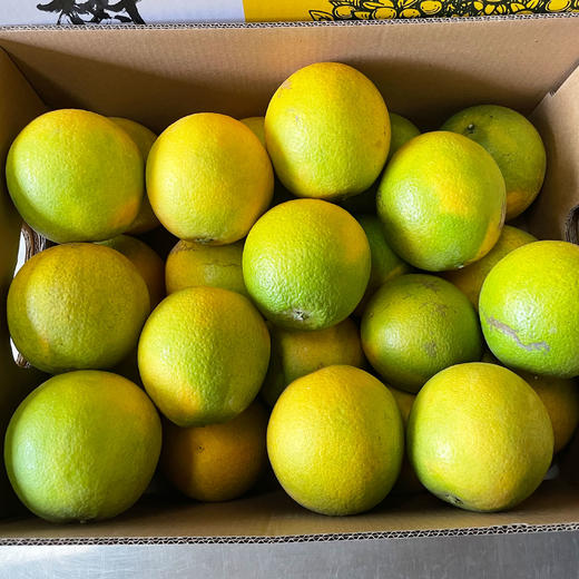 爱臻多老树橙（不打蜡）5kg 商品图1