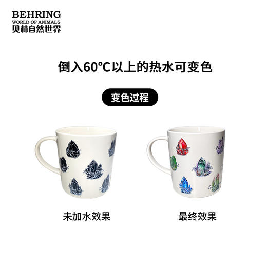 蝶变生晶-变色马克杯 商品图2