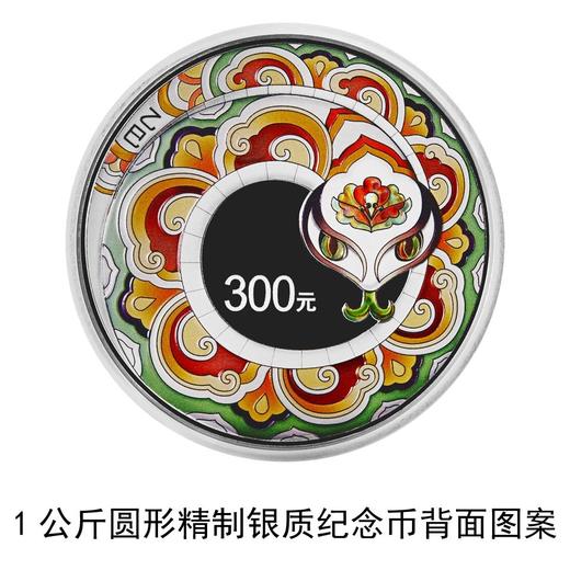 2025中国乙巳（蛇）年1公斤圆形银币 商品图2