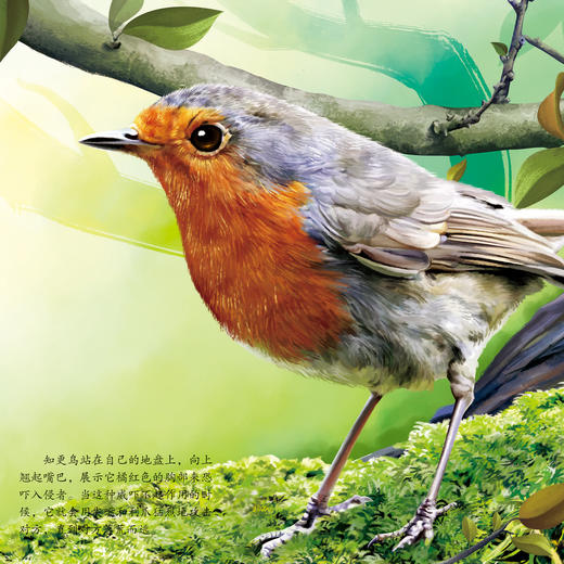 《画给孩子的自然通识课》(全15册) 商品图3