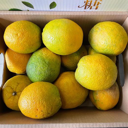 脐橙（5kg）（来自哀牢山的美味，细腻化渣 汁甜味美） 商品图3