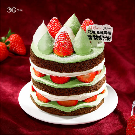 迷你北川抹茶草莓，可选4英寸 商品图0