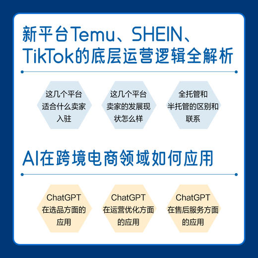 官方正版 跨境电商新时代 自学亚马逊 Temu SHEIN TikTok底层运营逻辑+必备出海知识 全彩版 外贸企业出口贸易运营销教程书 商品图4