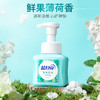 蓝月亮  泡沫洗手液-薄荷255ml 商品缩略图1