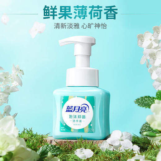 蓝月亮  泡沫洗手液-薄荷255ml 商品图1