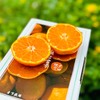 涌泉蜜桔|蜜桔🍊还得是中国无核蜜桔之乡的涌泉蜜桔😍涌泉蜜桔的名气，自然是不必多说了爆甜多汁，“懒人福音”——无核的果肉比布丁更嫩、更甜！是柑桔党心中当之无愧的「桔中仙品」～一年只有一批，季节限定！ 商品缩略图4