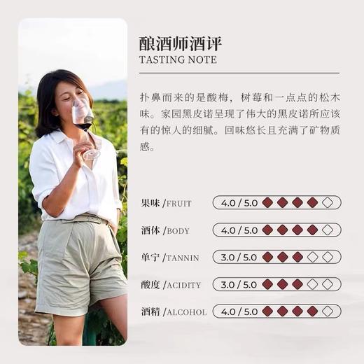 【细腻矿物质风味】宁夏银色高地家园珍藏马瑟兰干红葡萄酒 2021 商品图3