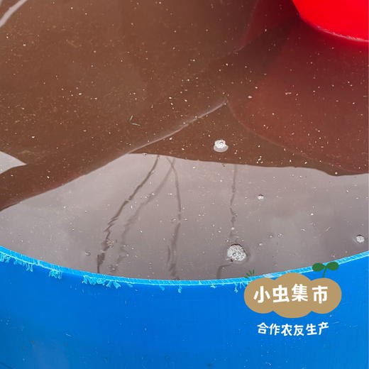 【买3斤送2斤】生态蜜橘 3斤/5斤 | 来自上海长兴岛，合作农友生产，生产者：周立平 *【公平贸易农人定价】 商品图13