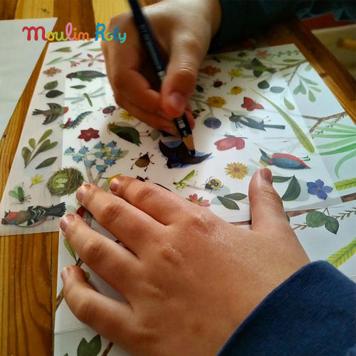 Moulin Roty 植物学家主题 转印贴 适合三岁以上 转印效果极佳 法国品牌- 712430 商品图6