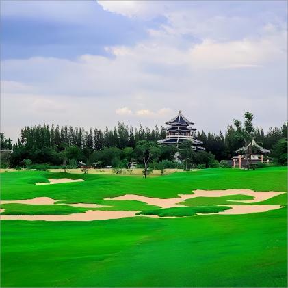 芭提雅暹罗乡村俱乐部-绵山场 Pattaya Siam Country Club-Rolling Hills | 泰国高尔夫球场 | 芭提雅高尔夫球场 商品图5