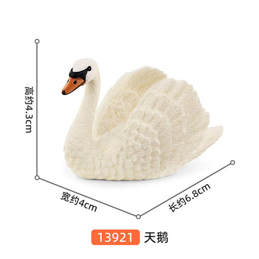 思乐 天鹅SCHC13921 商品图1