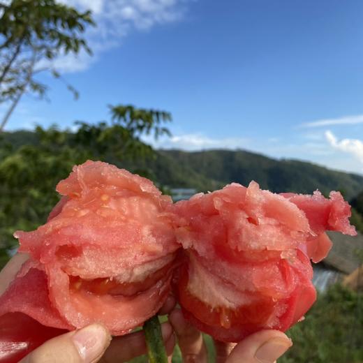 天天低价【皮薄多汁 满满沙瓤】 四川攀枝花沙瓤西红柿  4.5斤装 商品图3