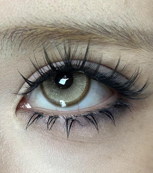 serltyca 沙滩印记棕 日抛 6片 14.2mm 参考着色 13.5mm 基弧 8.6 含水 55% 韩国进口 商品图1