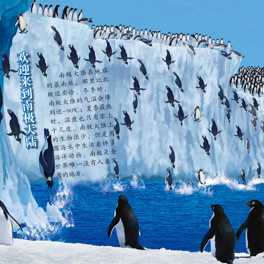 《画给孩子的自然通识课》(全15册) 商品图8