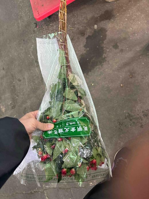 红豆，方豆 商品图1