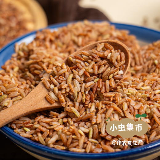 生态老品种红籼米 5斤（红米）| 合作农友生产，产自贵州贵阳高坡，生产者：杨婧懿 *【公平贸易农人定价】 商品图5