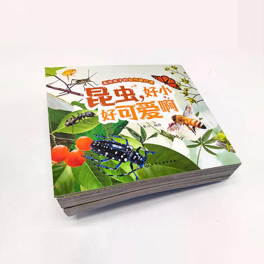 《画给孩子的自然通识课》(全15册) 商品图1