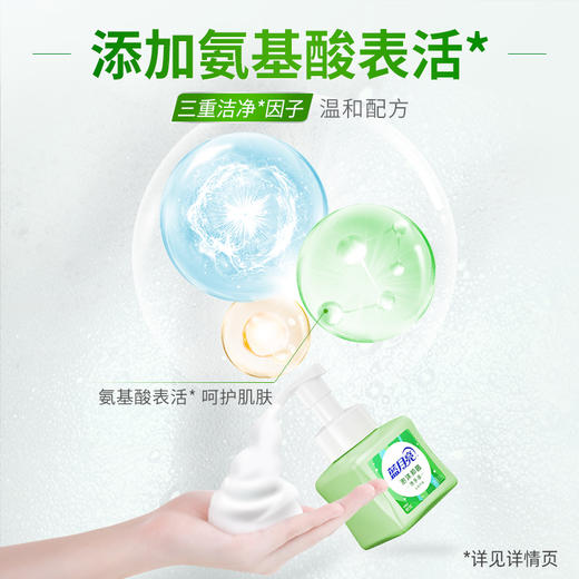 蓝月亮  芦荟泡沫抑菌洗手液255g 商品图2