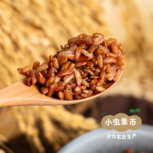 生态老品种红籼米 5斤（红米）| 合作农友生产，产自贵州贵阳高坡，生产者：杨婧懿 *【公平贸易农人定价】 商品图3
