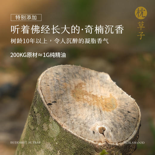 枕草子 沉香茉莉滚珠复方精油5ml 商品图1