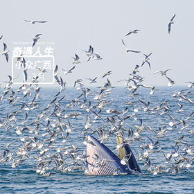 山海鲸奇遇记｜广西崇左钦州涠洲岛·6天5晚【大玩家】