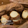 企鹅市集|内蒙古 哈密冰糖薯大果5斤装（11-15根） 软糯绵密 冰糖蜜甜 商品缩略图1
