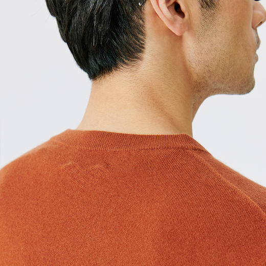 东黎 • 小山羊绒男士秋冬圆领基础款打底百搭套衫 4870 商品图6